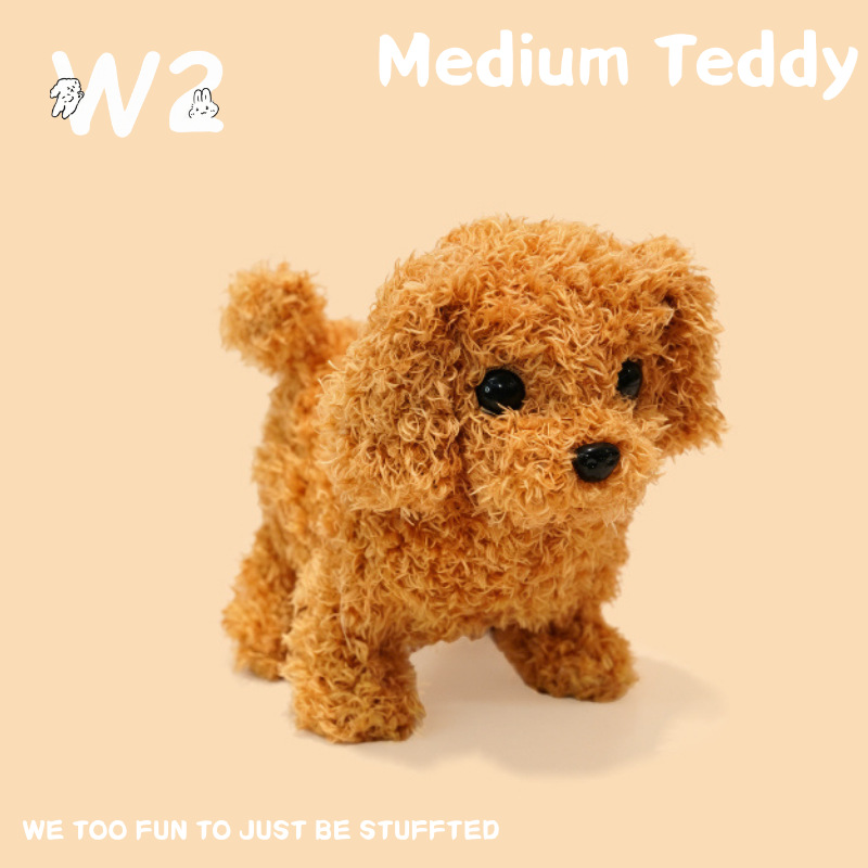 W2TOY Electric Plush Toy - Medium Teddy(1 pcs）