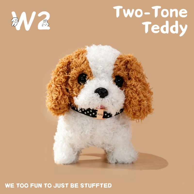 W2TOY Electric Plush Toy -Two Tone Teddy（1pcs）